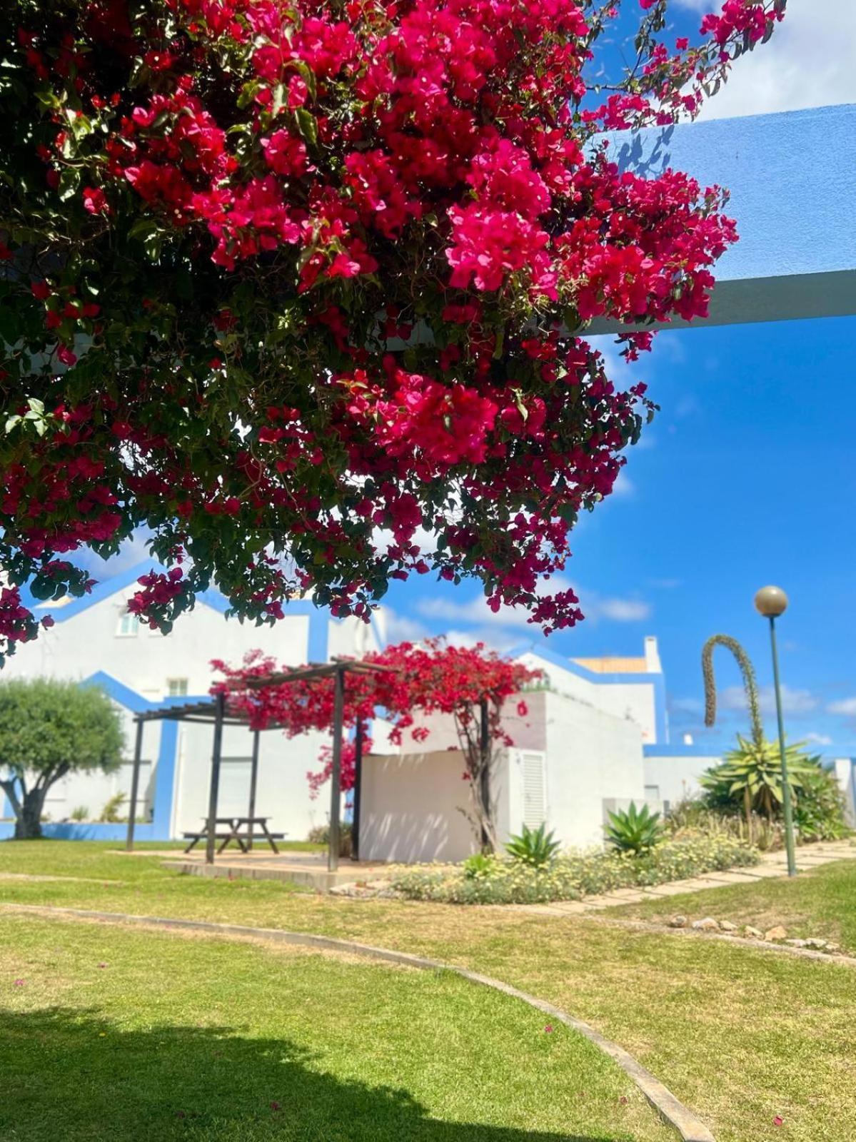 Casa Hanna Tavira